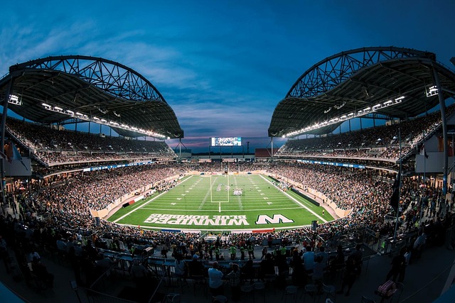 的发挥可圈 的发挥可圈