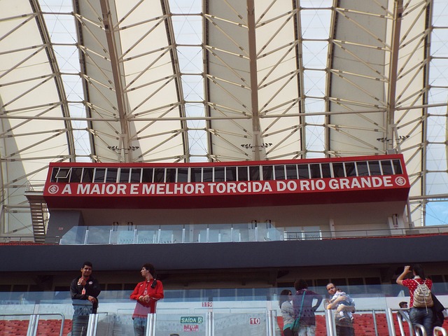 的观赛准则 的观赛准则