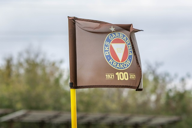 中高度评价 中高度评价