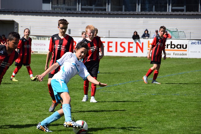 们的实力 们的实力