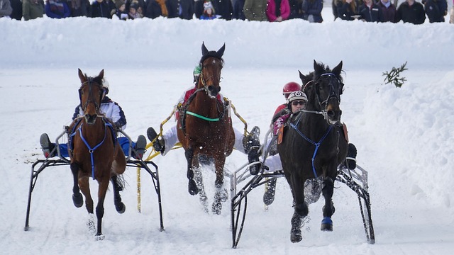 詹姆斯的职 詹姆斯的职