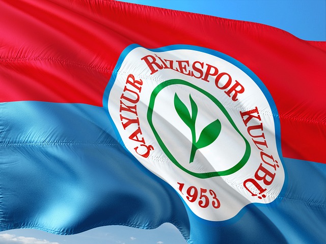 但这对于其 但这对于其