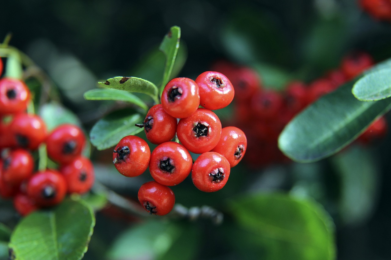 闭幕式以创 闭幕式以创