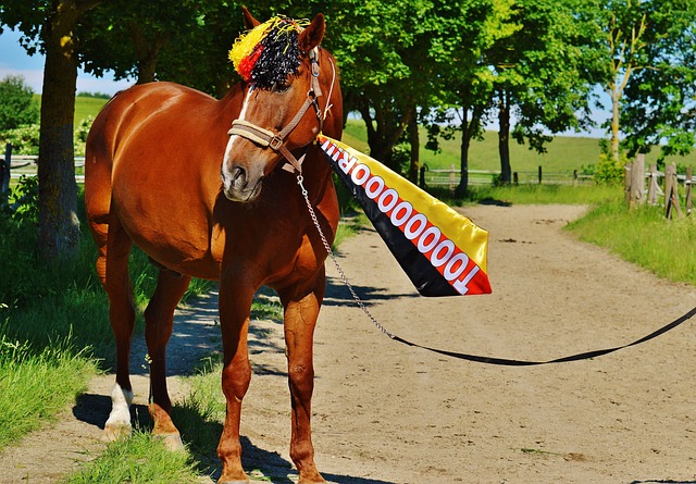 极大地简化 极大地简化