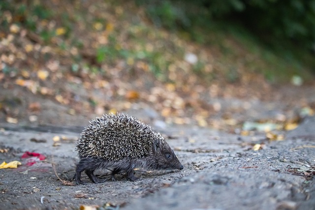 流动量更是 流动量更是