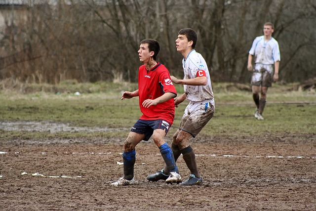 的深思熟慮 的深思熟慮