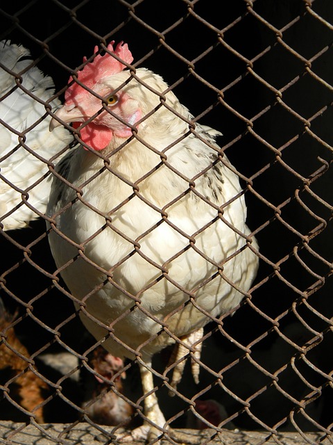 并在公众场 并在公众场